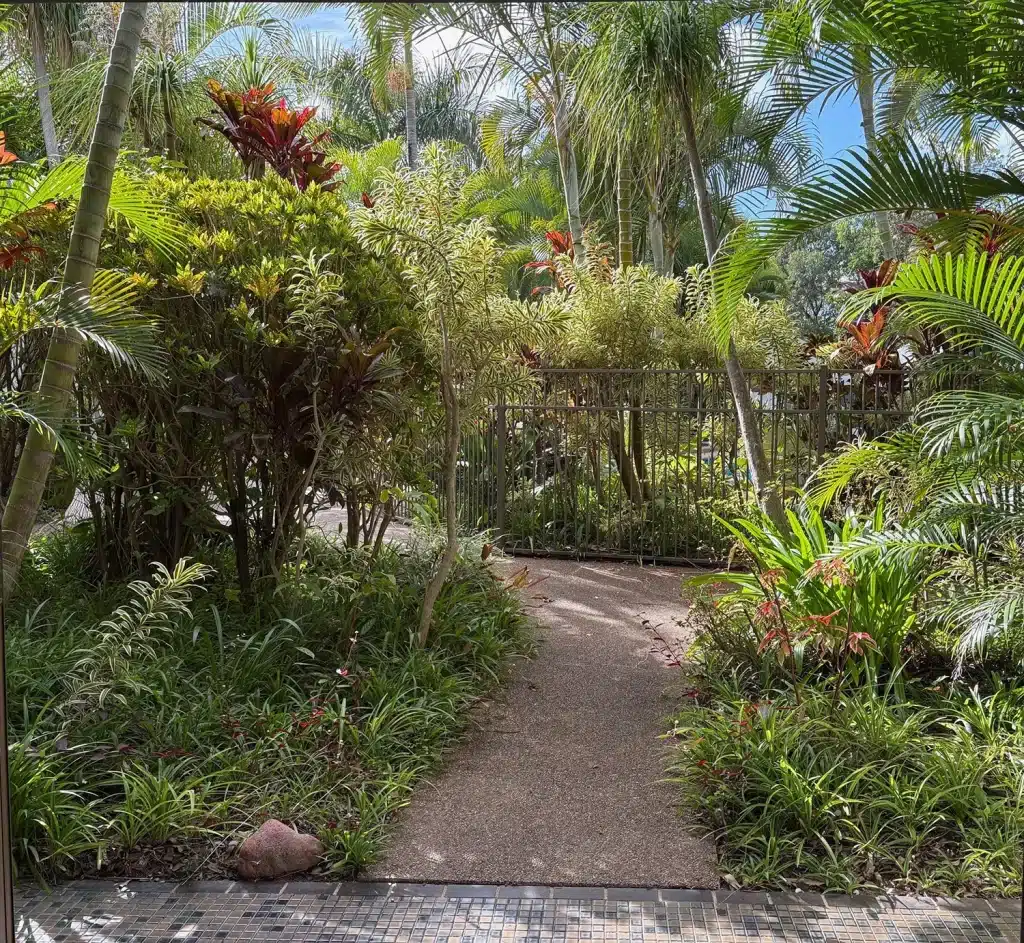 One bedroom Apartment View